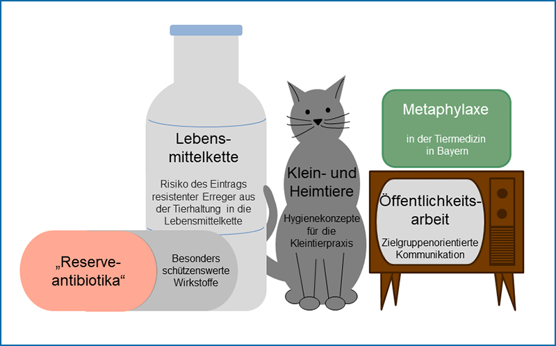 Sinnbildliche Darstellung der Facharbeitsgruppen der ARE-Vet (von links nach rechts):
Eine Kapsel mit der Aufschrift: „Reserveantibiotika“, Besonders schützenswerte Wirkstoffe
Eine Flasche mit der Aufschrift: „Lebensmittelkette“, Risiko des Eintrags resistenter Erreger aus der Tierhaltung in die Lebensmittelkette“
Eine Katze mit der Aufschrift: „Klein- und Heimtiere“, Hygienekonzepte für die Kleintierpraxis
Ein Fernseher mit der Aufschrift: „Öffentlichkeitsarbeit“, Zielgruppenorientierte Kommunikation
Über dem Fernseher ein grüner Kasten mit der Aufschrift „Metaphylaxe“ in der Tiermedizin in Bayern