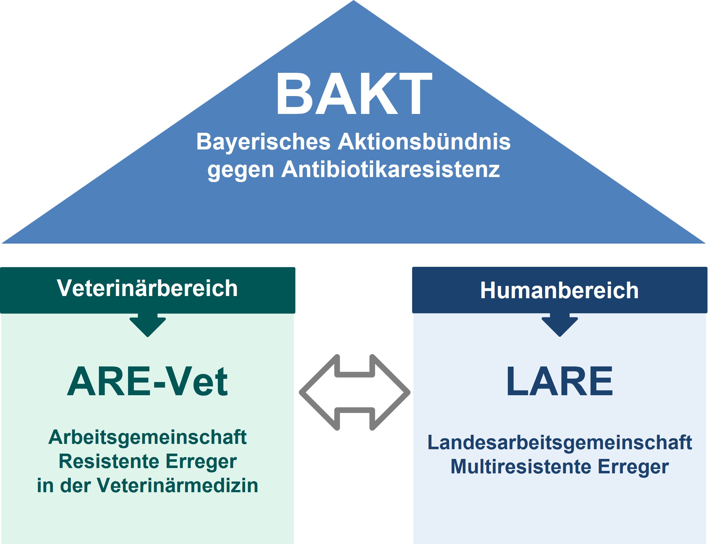Grafik im Stil eines Hauses. Das Dach ist beschriftet mit „BAKT: Bayerisches Aktionsbündnis gegen Antibiotikaresistenz“. Das Dach steht auf zwei Säulen. Links: „Veterinärbereich -> ARE-Vet Arbeitsgemeinschaft Resistente Erreger in der Veterinärmedizin“. Rechts: „Humanbereich -> LARE Landesarbeitsgemeinschaft Multiresistente Erreger“.